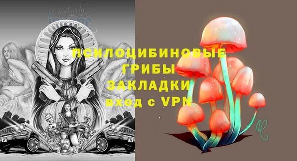 ешки Алзамай